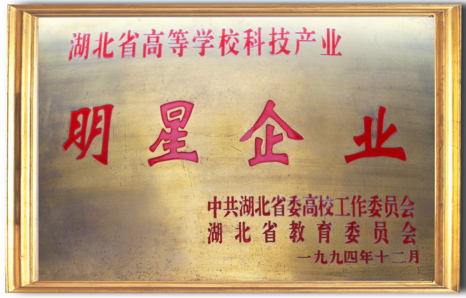 湖北省高等学校科技产业明星企业