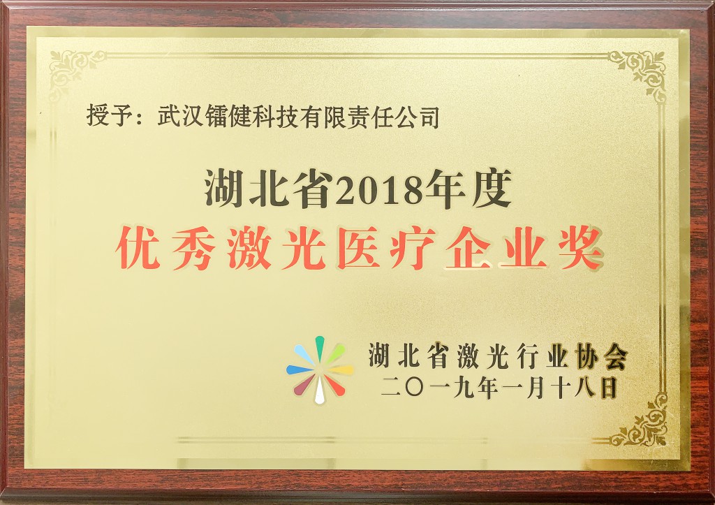 优秀激光医疗企业奖牌匾